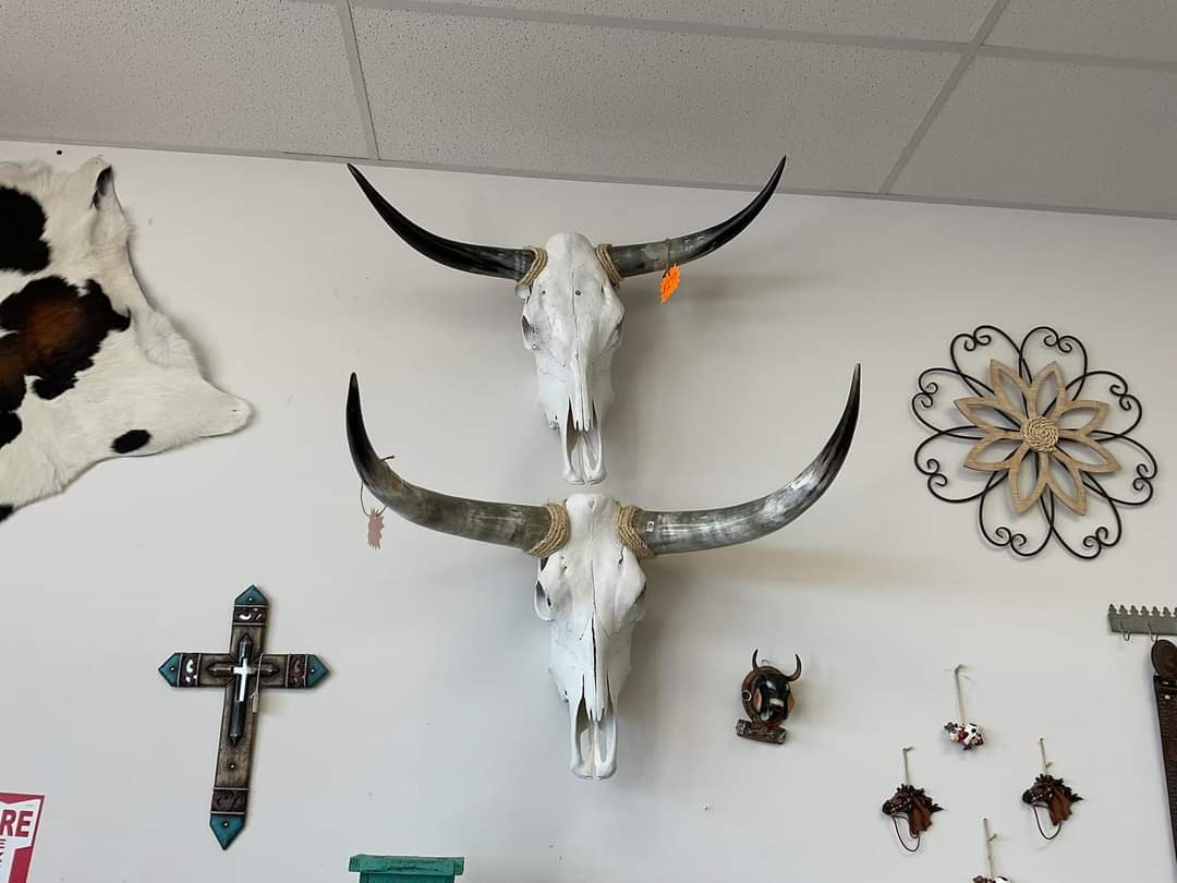 Longhorn Wall