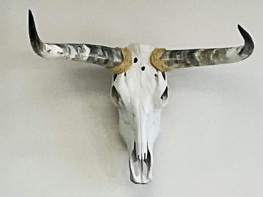Longhorn Wall